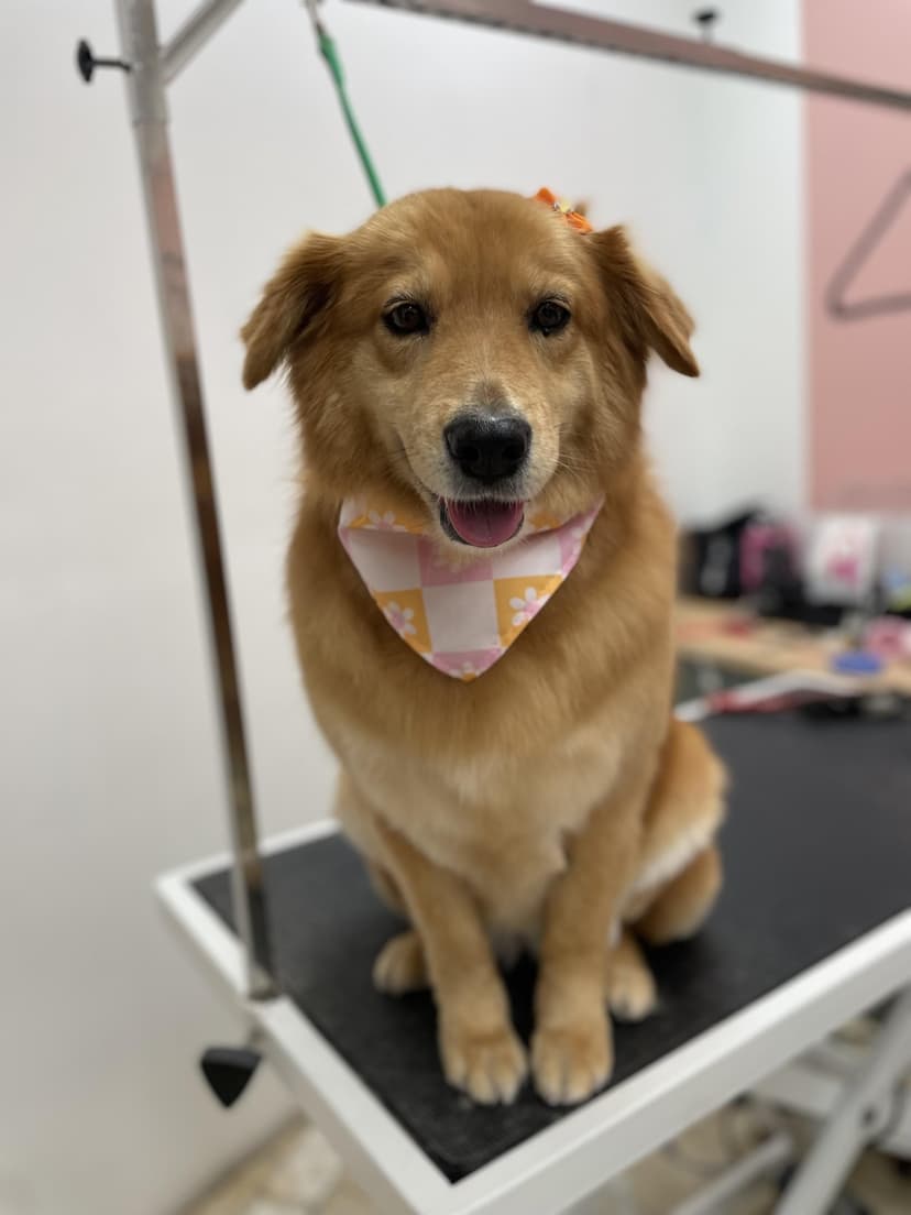 Groom by Jaden at Cookies N Clean
