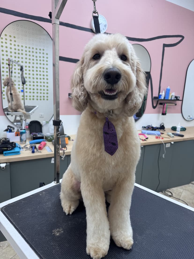 Grooming by Sage