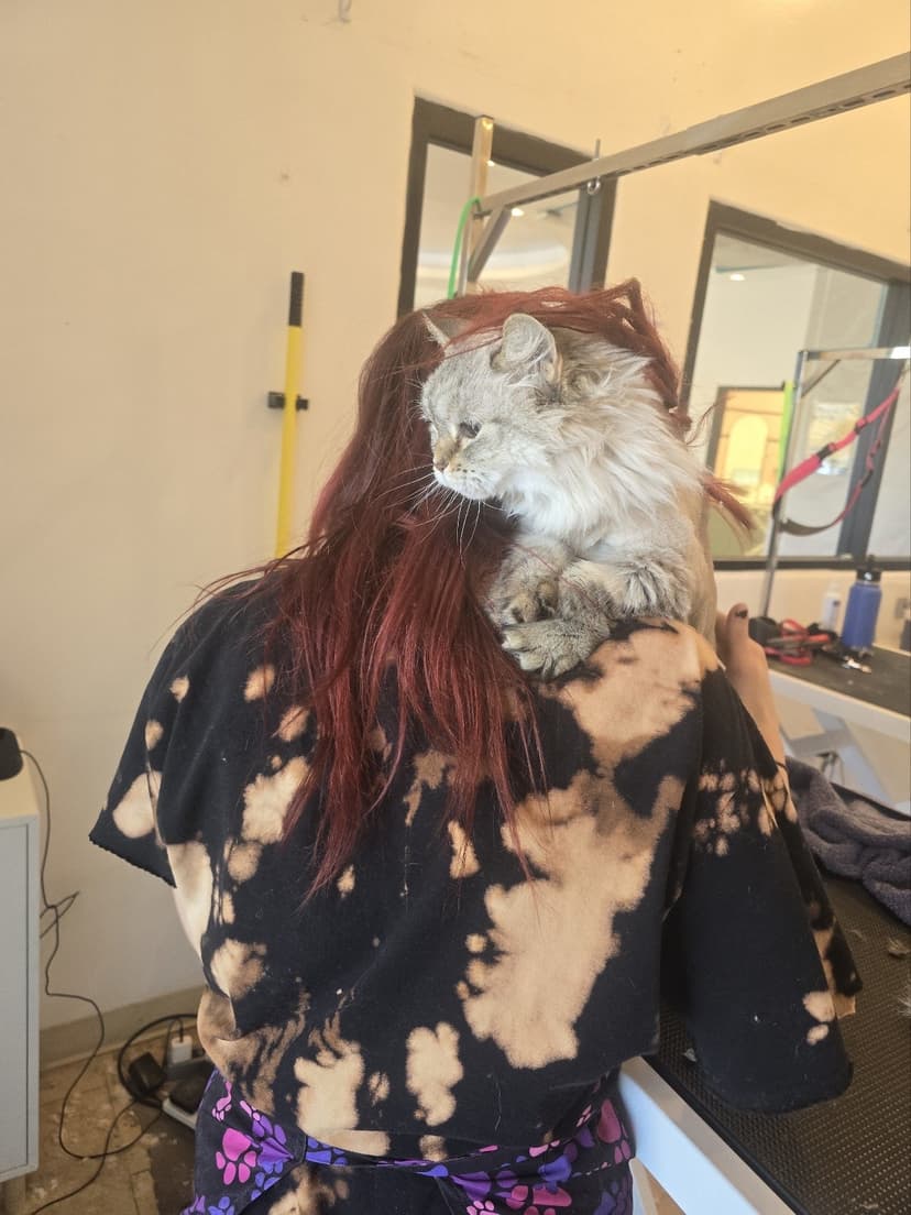 Grooming by Jaden