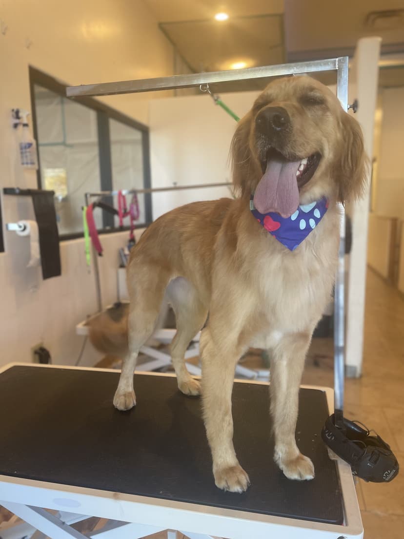 Grooming by Jaden