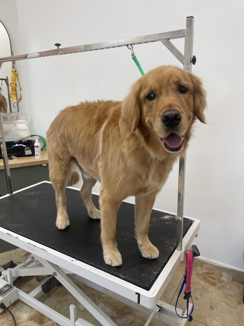 Groom by Jaden at Cookies N Clean
