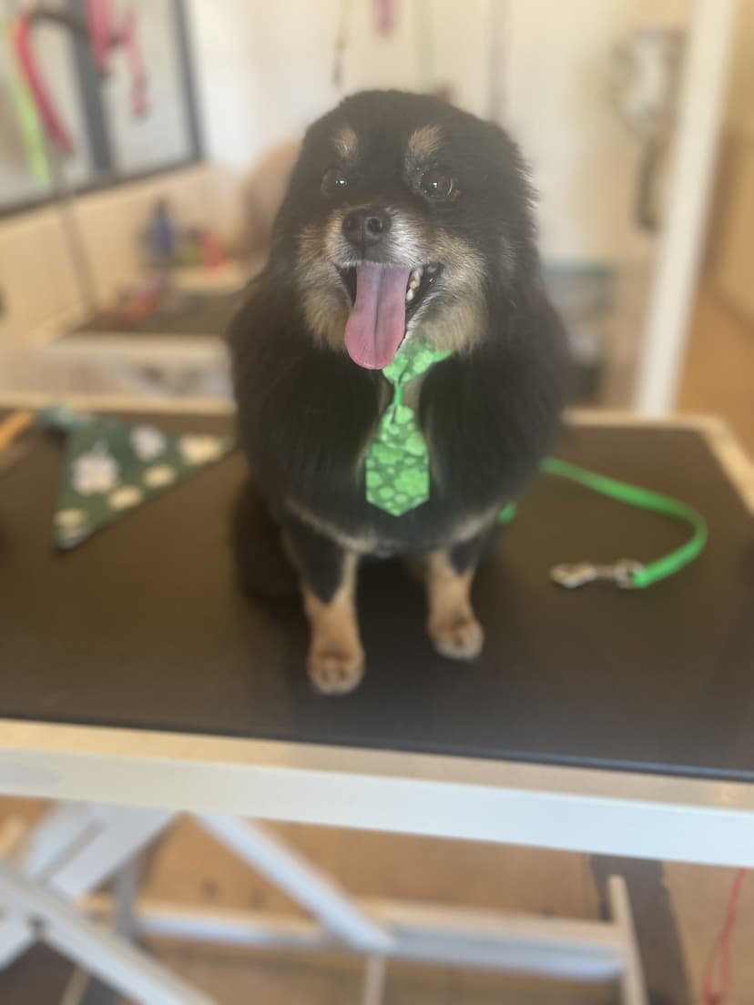Groom by Jaden at Cookies N Clean