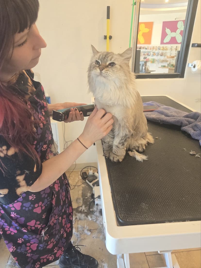 Grooming by Jaden