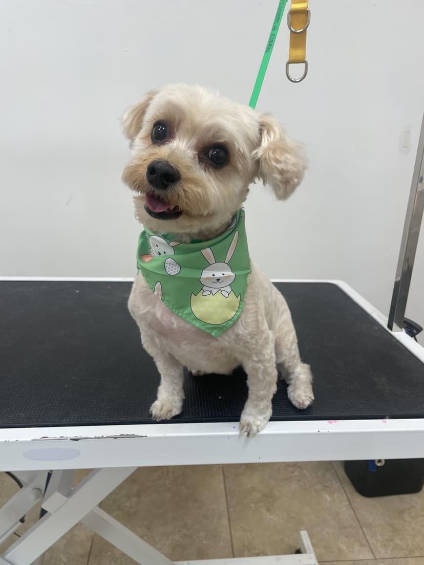 Grooming by Jaden