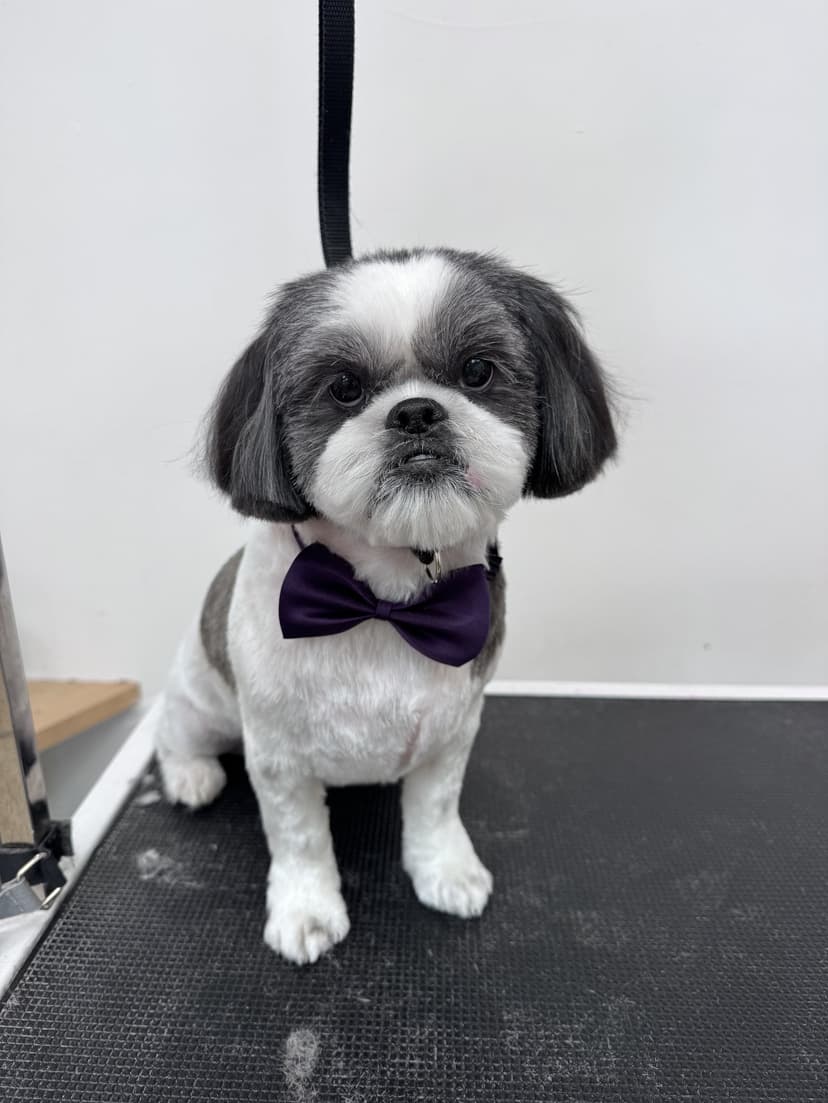 Grooming by Sage