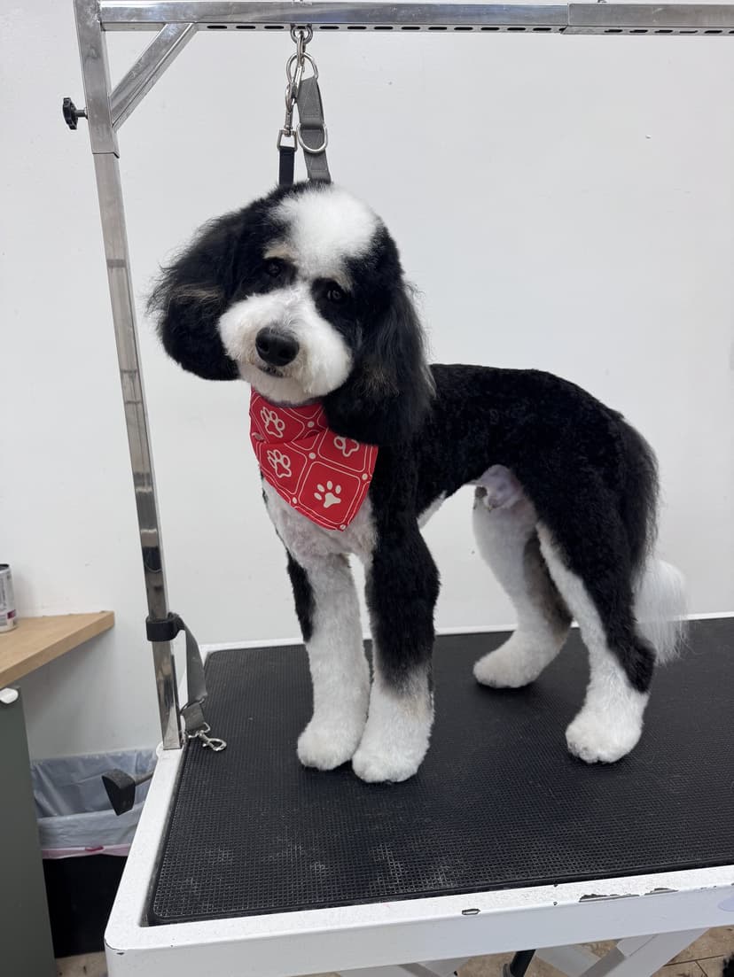 Grooming by Sage
