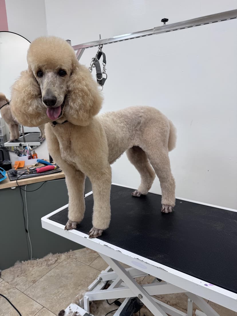Grooming by Sage