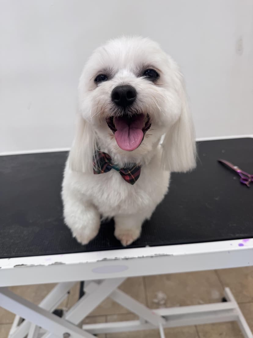 Grooming by Sage