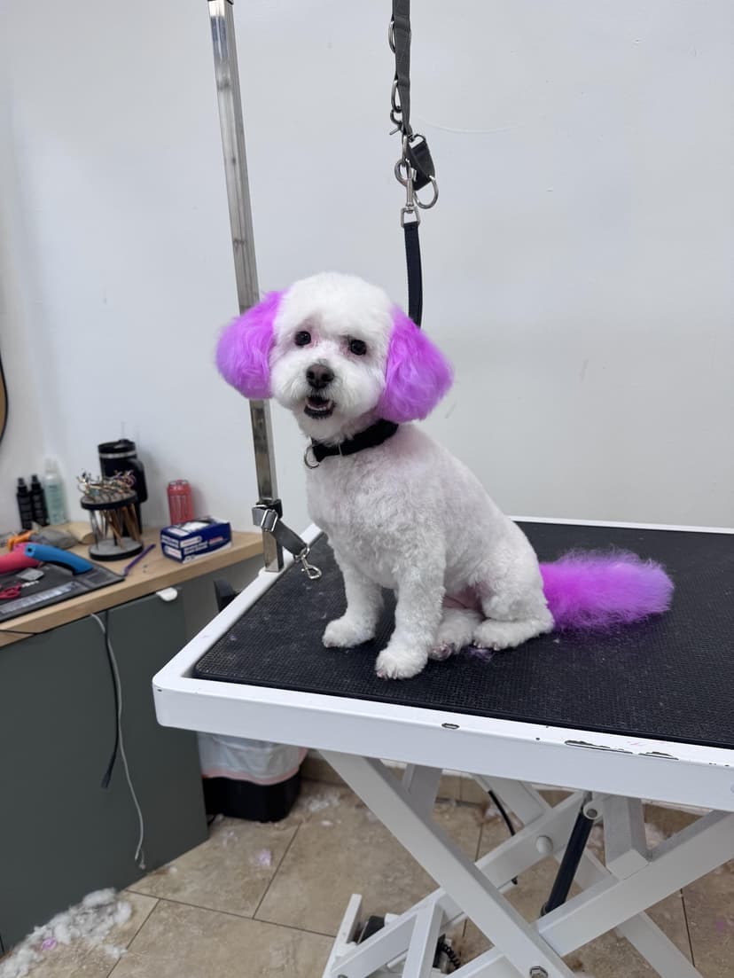 Grooming by Sage