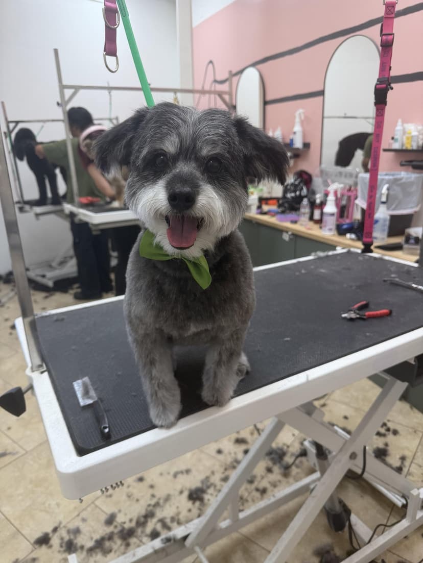 Grooming by Kayla